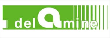 logo Delamine