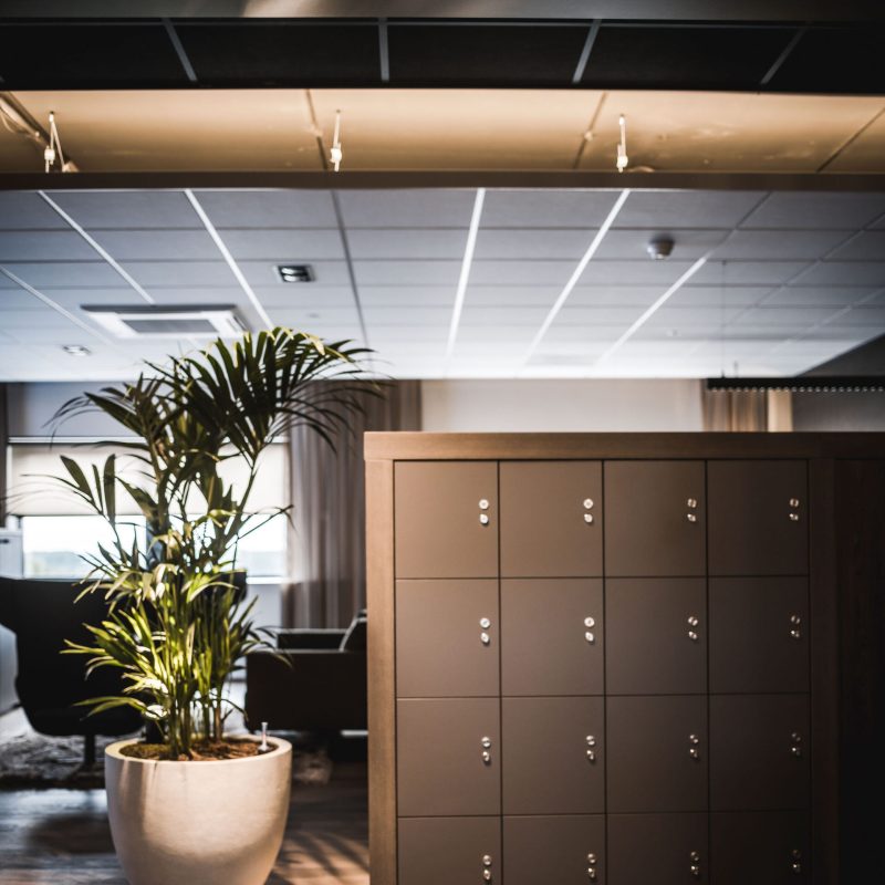 interieurarchitect interiorarchitect Wildenberg officedesign RGF Staffing hospitalityinteriors officeinspiration kantoorontwerp officeinterior Peter Baas Fijri Hoogendoorn Lightboxx