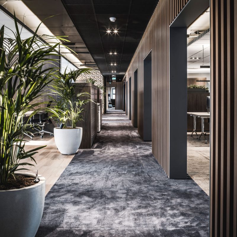 interieurarchitect interiorarchitect Wildenberg officedesign RGF Staffing hospitalityinteriors officeinspiration kantoorontwerp officeinterior Peter Baas Fijri Kreikamp Hoogendoorn